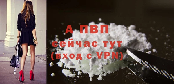 СК Козловка