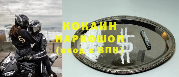 прущие грибы Козельск
