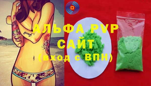 ECSTASY Костерёво
