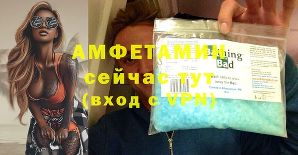 прущие грибы Козельск