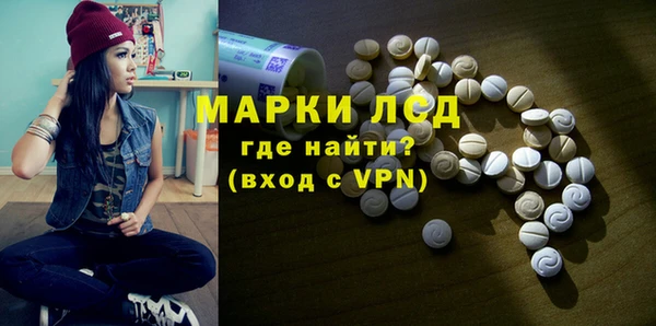 прущие грибы Козельск