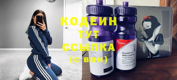 круглые Корсаков