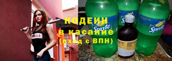 круглые Корсаков