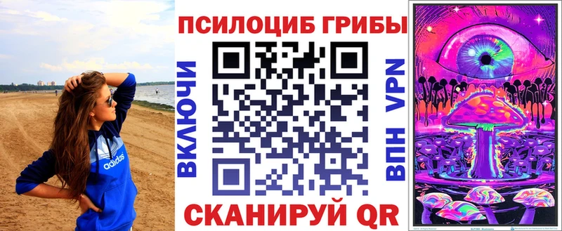Купить закладки  Борисоглебск  Псилоцибиновые грибы ЛСД 